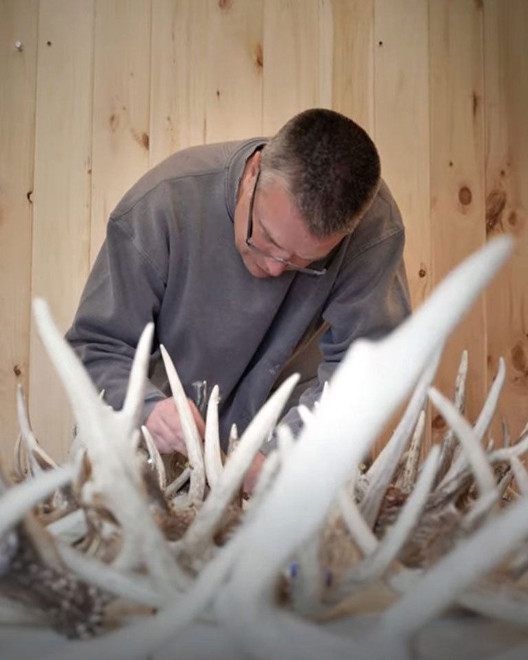 Taxidermy