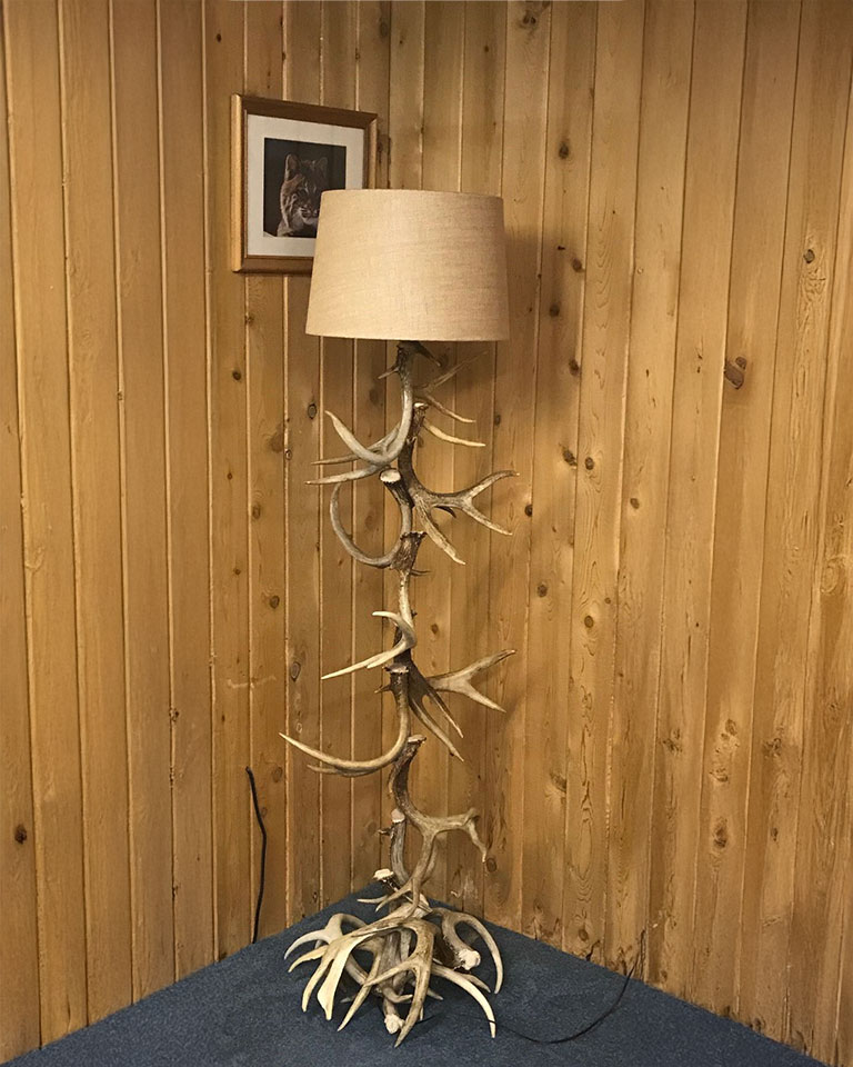 Antlers